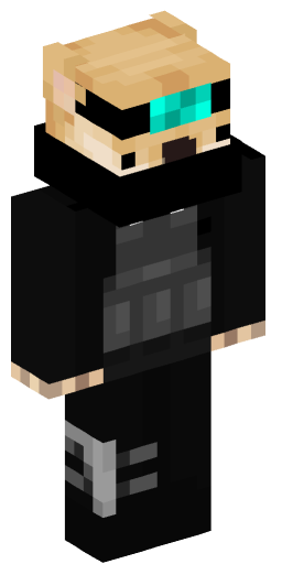 Minecraft Skin #202878